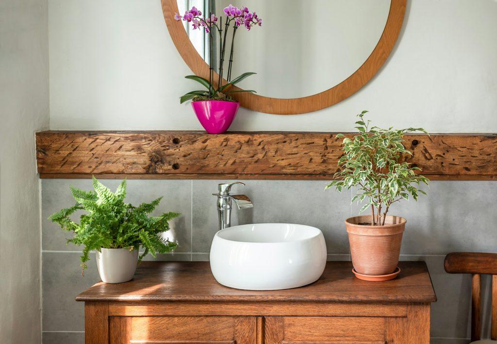 Home plants in the bathroom