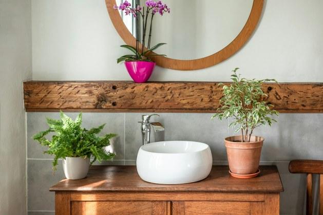 Quelle plante pour une salle de bain sans fenêtre : les 10 meilleures qui résistent bien