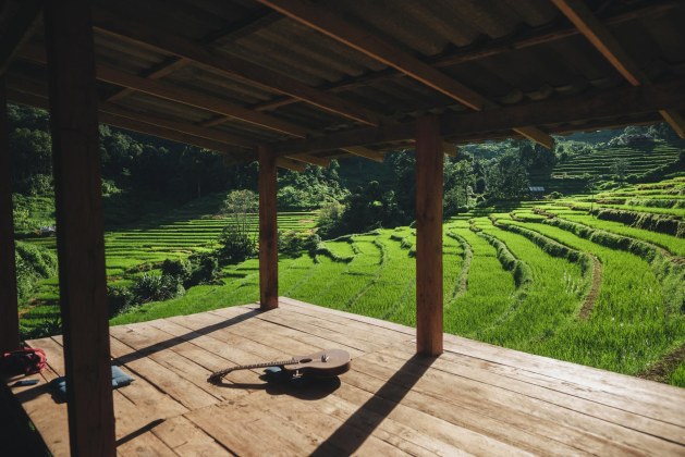 Comment nettoyer une terrasse en bois qui grisaille, verdit ou noircit ?