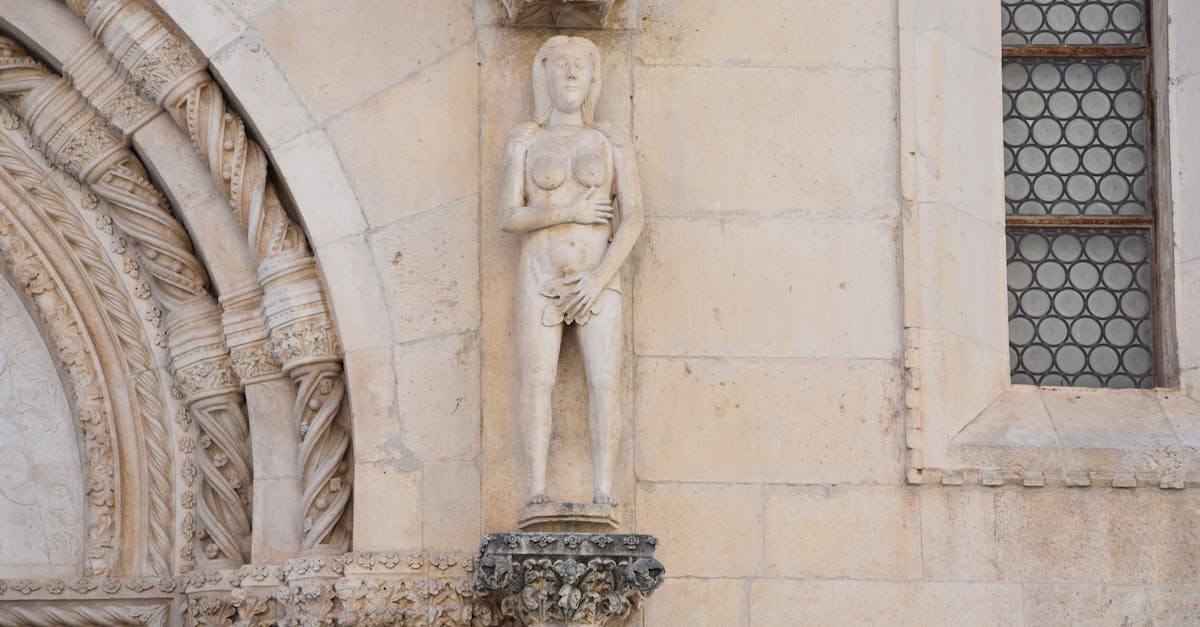 découvrez le monde fascinant d'anastasia, une histoire touchante qui mêle aventure, mystère et romance. plongez dans l'univers d'une princesse perdue à la recherche de ses racines et d'une nouvelle vie.