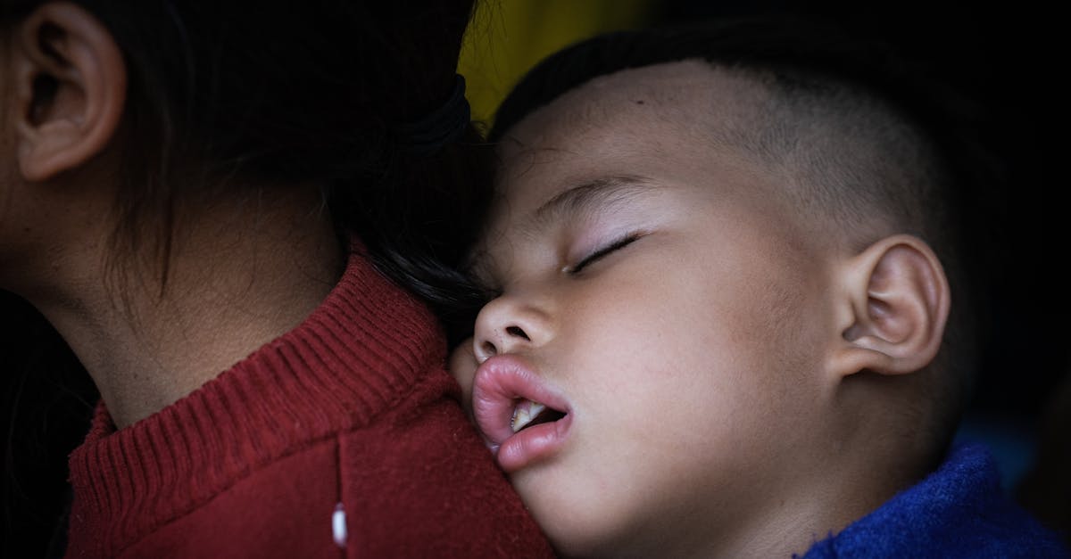 découvrez tout sur les frelons asiatiques : leur habitat, leur comportement, leurs impacts sur l'environnement et des conseils pour les reconnaître et les éviter. informez-vous pour mieux coexister avec ces insectes fascinants.