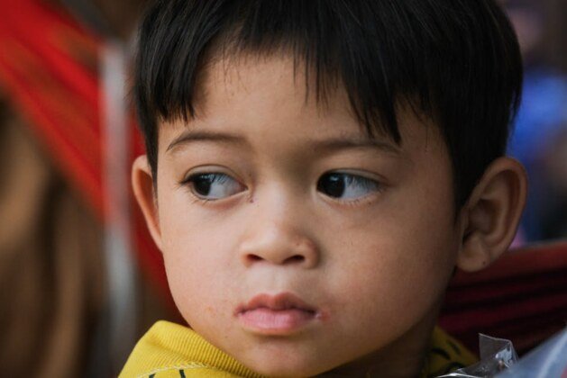 Attention, ces plantes pourraient attirer des frelons asiatiques dans votre jardin !