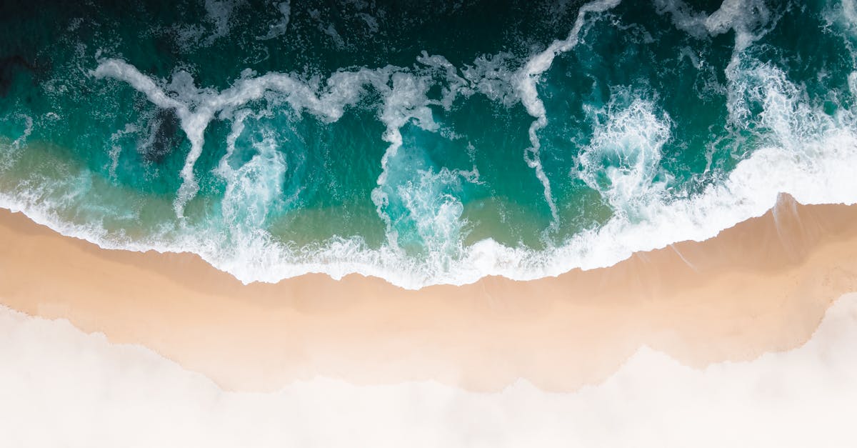 découvrez des conseils pratiques, des idées inspirantes et des réflexions sur divers sujets qui vous permettront d'explorer le quotidien avec sérénité et enthousiasme. bien-sûr, tout est possible !