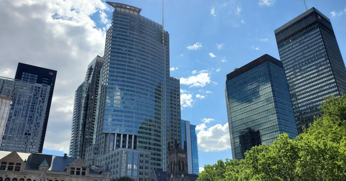 découvrez la vie fascinante de catherine parr, la dernière épouse du roi henri viii, qui a su naviguer dans les tumultes de la cour anglaise tout en soutenant la réforme protestante. explorez son héritage, ses écrits et son rôle clé dans l'histoire de l'angleterre.