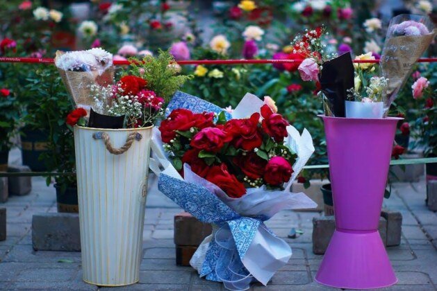 Combien perçoivent les membres du jury et les célébrités de Danse avec les Stars ?