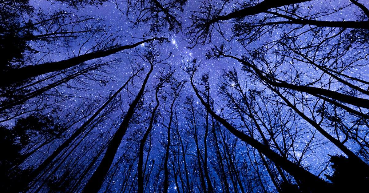 découvrez les mystères des constellations ! plongez dans l'univers fascinant des étoiles, apprenez à les identifier et explorez leur histoire légendaire. parfait pour les passionnés d'astronomie et les curieux du ciel nocturne.