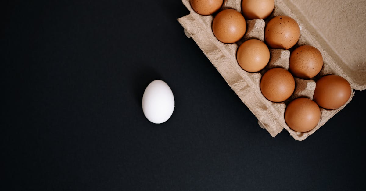 découvrez les nuances et distinctions entre divers concepts, idées ou objets dans notre exploration approfondie des différences. que ce soit en langage, culture ou sciences, apprenez à reconnaître et à apprécier ce qui sépare et définit chaque élément.