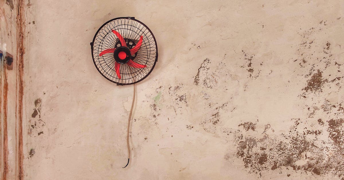 découvrez l'art de la distinction : un guide complet pour valoriser vos atouts, développer une image élégante et vous démarquer avec finesse dans chaque aspect de votre vie personnelle et professionnelle.