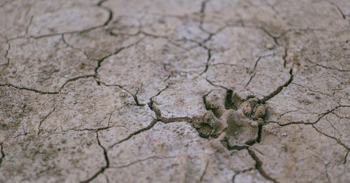 découvrez tout sur les tremblements de terre : causes, effets, prévention et mesures de sécurité pour vous protéger lors de ces phénomènes naturels puissants.