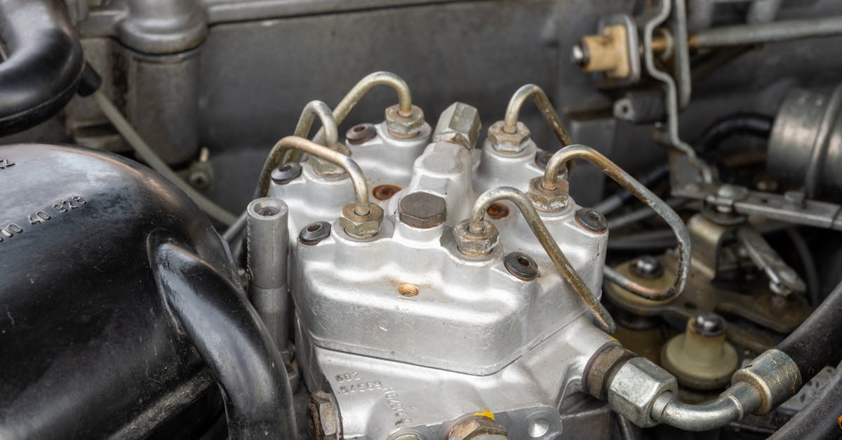 découvrez la fascinante structure interne de la terre, de son noyau incandescent aux couches de manteau et de croûte, et explorez comment ces éléments façonnent notre planète.