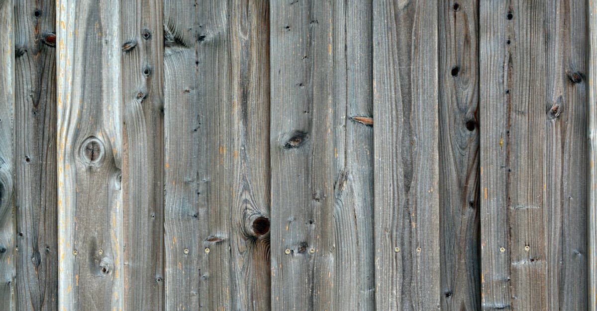 découvrez la fascinante structure interne de la terre, des couches les plus superficielles au noyau profond, et explorez comment ces différentes strates influencent notre planète, sa géologie et son évolution.