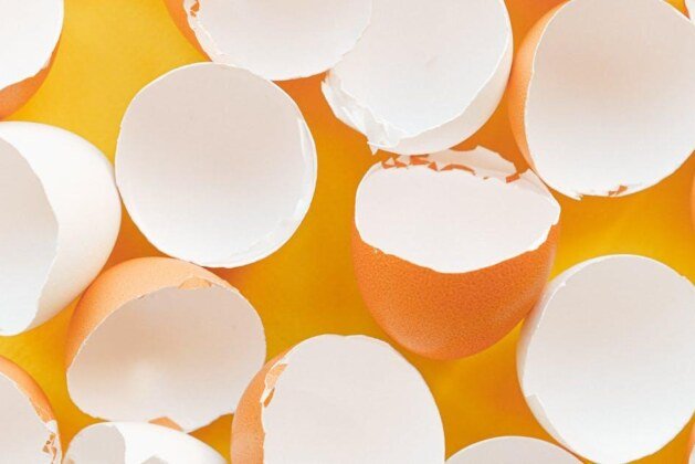 Quel est le poids d’un blanc d’œuf ?