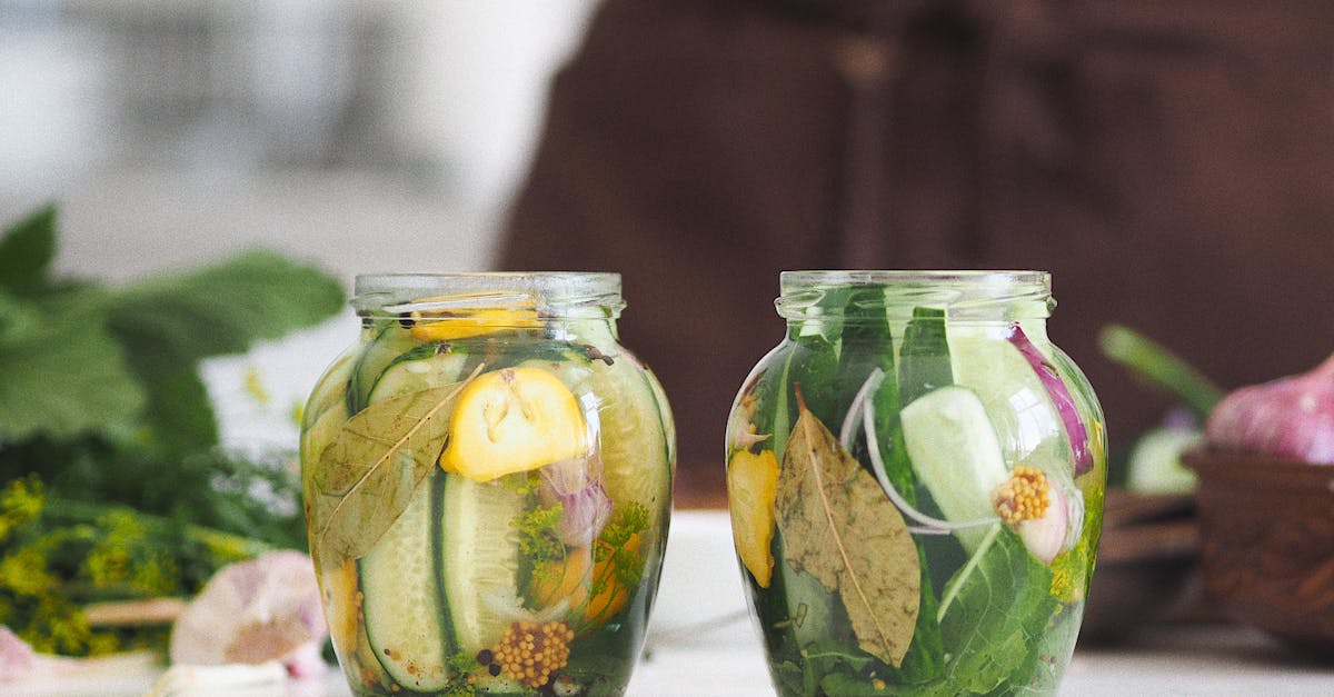 découvrez l'art de la fermentation : recettes, techniques et bienfaits pour la santé. transformez vos aliments préférés en délices probiotiques et apprenez à maîtriser cette méthode ancestrale pour enrichir votre alimentation.