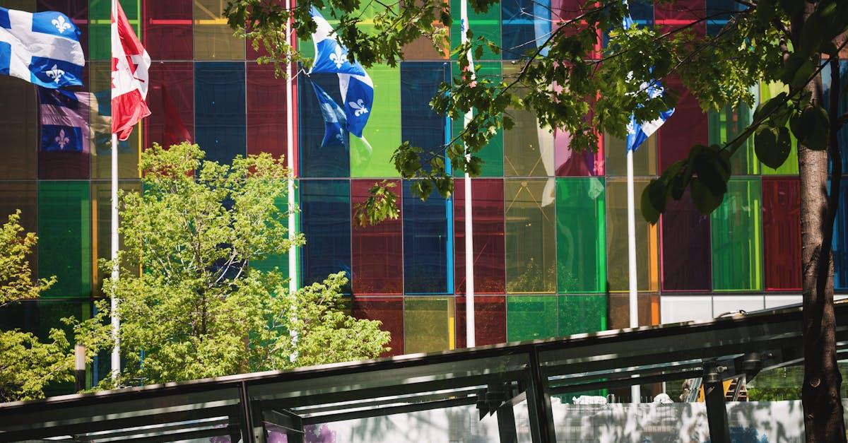 découvrez un monde fascinant à travers les drapeaux : histoire, symbolisme et culture. explorez la signification derrière chaque emblème et laissez-vous inspirer par la diversité et l'héritage des nations à travers leurs flags.