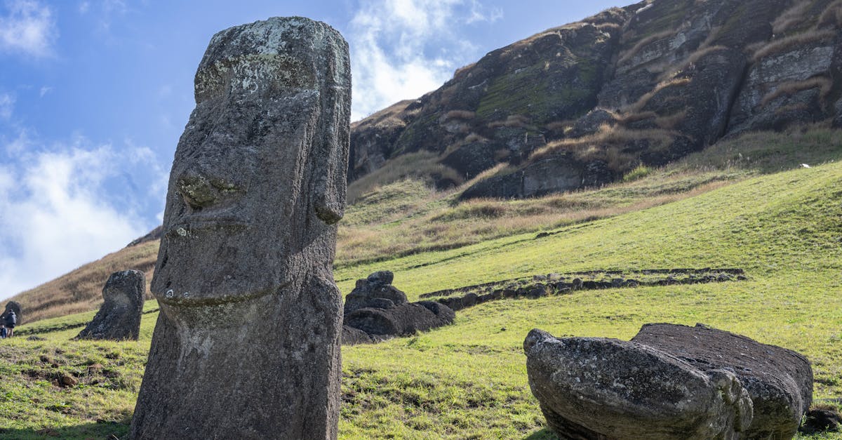 découvrez l'histoire fascinante du football, des origines du jeu à son évolution en un phénomène mondial. explorez les moments clés, les joueurs emblématiques et les compétitions qui ont façonné ce sport emblématique.