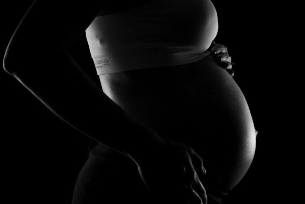 Animaux à gestation prolongée : découvrez ceux qui tiennent le record