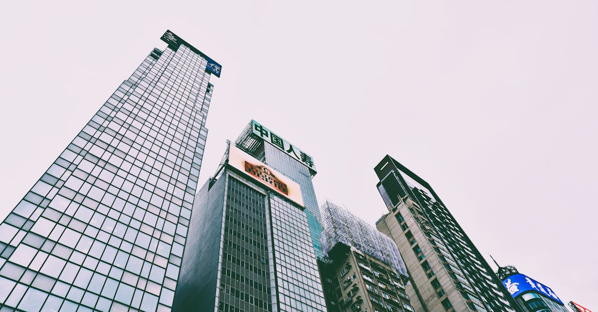 découvrez tout sur la capacité des verres : types, tailles et conseils pour choisir le verre idéal en fonction de vos besoins. apprenez à optimiser vos boissons en connaissant la capacité optimale pour chaque occasion.