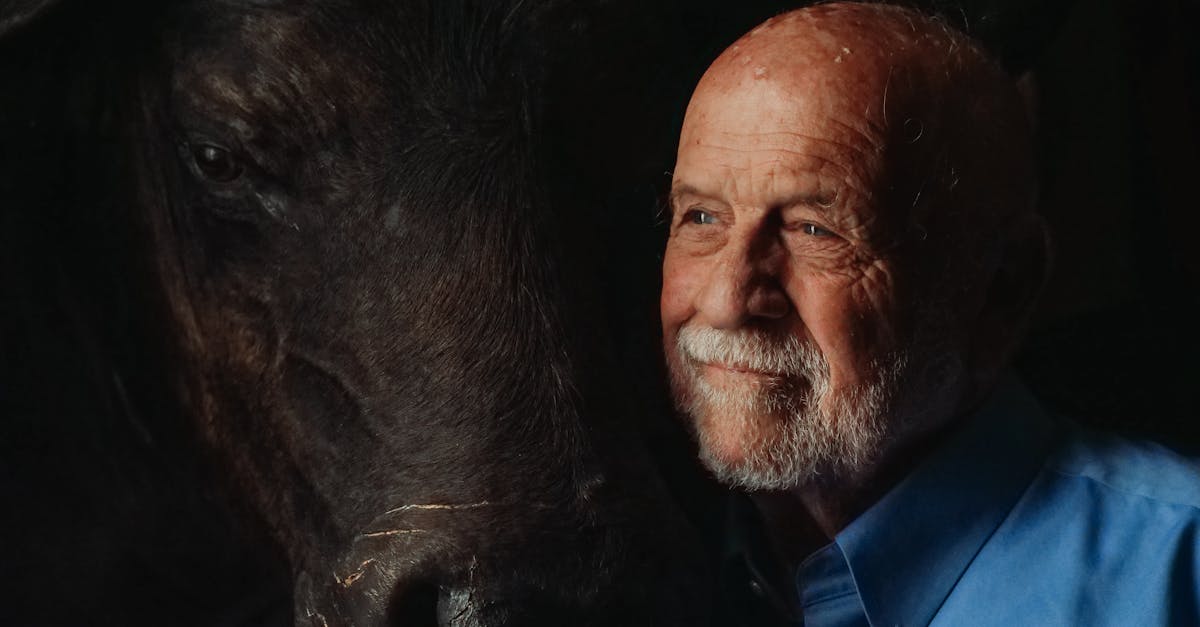 découvrez notre article captivant sur le thème 'missing', qui explore les mystères des disparitions et les conséquences émotionnelles pour ceux qui restent. plongez dans un récit fascinant et enrichissant qui met en lumière les histoires poignantes derrière les disparitions inexpliquées.