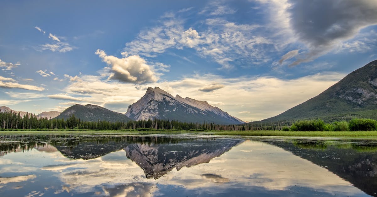 découvrez l'importance et l'histoire des hymnes nationaux à travers le monde. explorez leur rôle en tant que symboles de fierté et d'identité nationale, ainsi que leur influence sur la culture et les rassemblements populaires.
