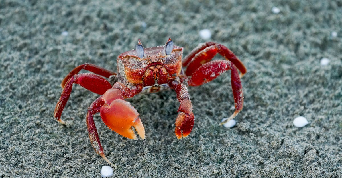 découvrez tout ce qu'il faut savoir sur les zones navigo, incluant les différentes zones de transport, les tarifs, et les options de souscription pour un déplacement fluide dans la région île-de-france.