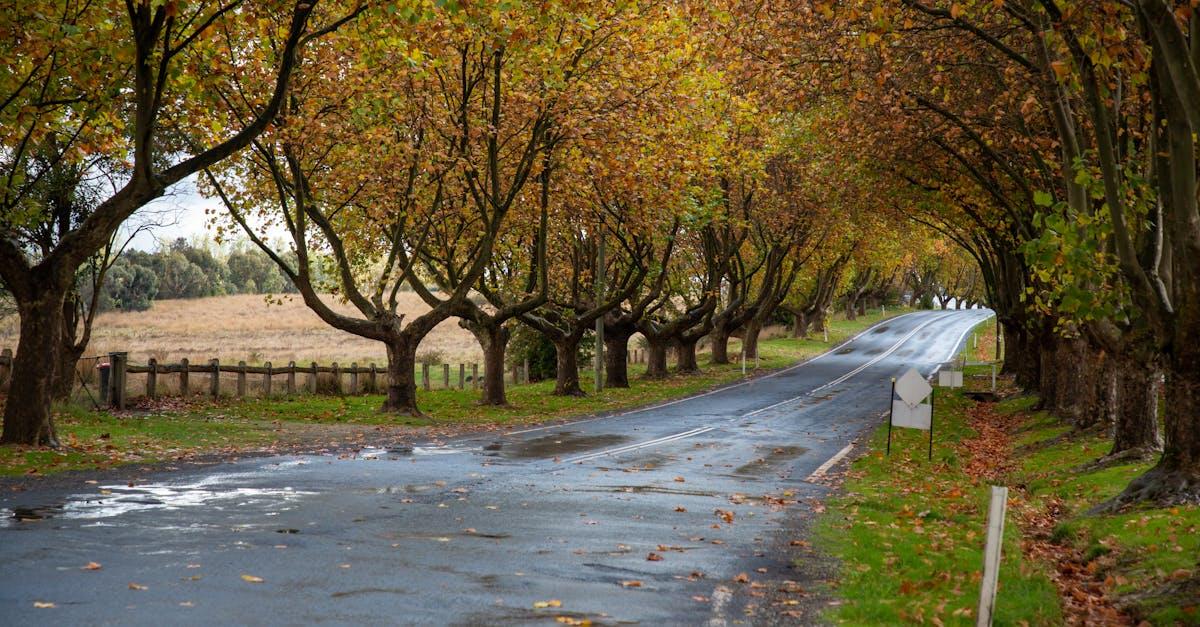 découvrez l'histoire fascinante de l'arche de noé, un récit ancien qui évoque la foi, l'espoir et la rédemption. plongez dans cette aventure biblique où noé préserve la vie sur terre face à un déluge imminent. approfondissez votre compréhension de ce symbole intemporel à travers des analyses, des interprétations et des réflexions spirituelles.