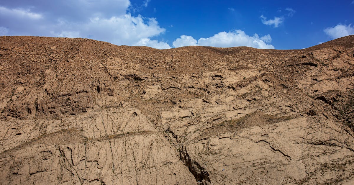 découvrez 'origin', une œuvre captivante qui explore les racines de l'humanité à travers une aventure palpitante. suivez notre héros dans sa quête de vérité, mêlant mystère et science dans un récit fascinant.