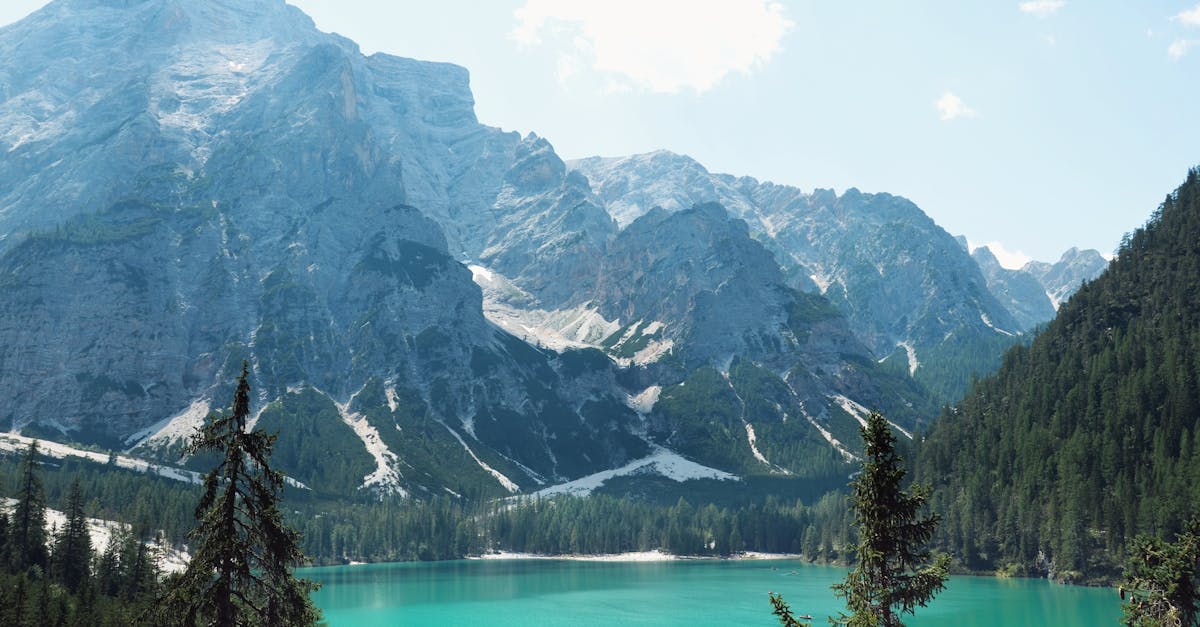 découvrez la durée de l'attraction physique et son impact sur les relations. explorez les facteurs qui influencent cette chimie unique et apprenez comment maintenir l'étincelle au fil du temps.