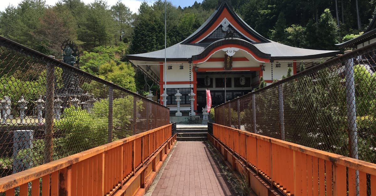 découvrez un aperçu des principales religions du monde, leurs croyances, pratiques et influences culturelles. plongez dans la diversité spirituelle qui façonne nos sociétés et explorez les racines historiques de chaque foi.