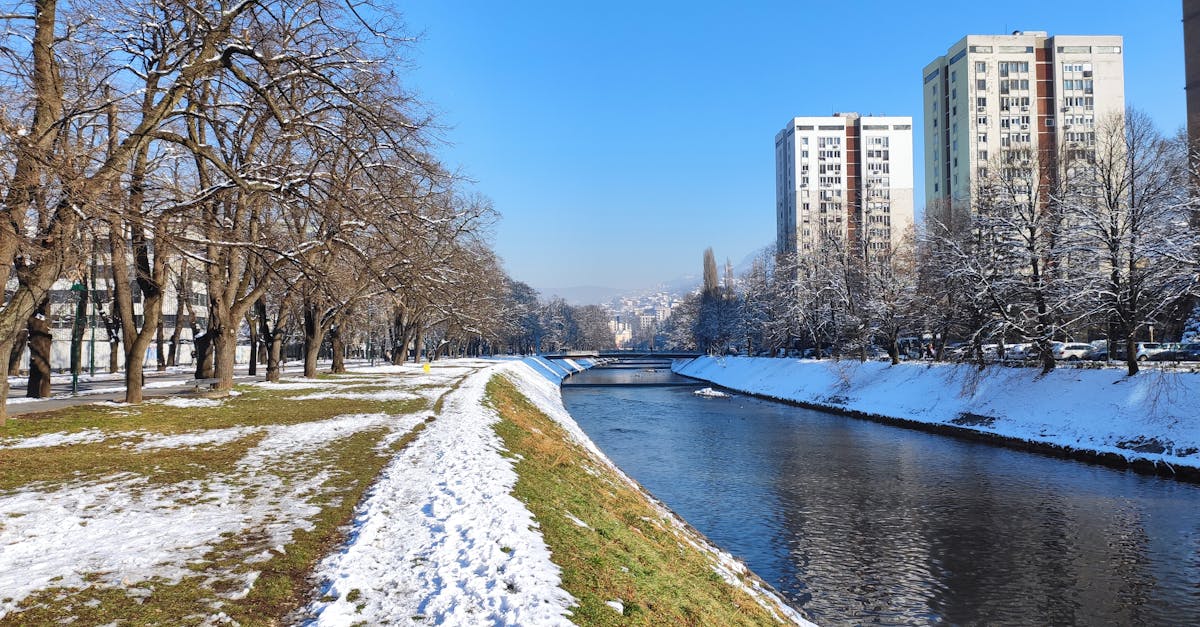 découvrez la diversité des religions à travers le monde, explorez leurs croyances, rituels et l'impact qu'elles ont sur les cultures et les sociétés. un voyage spirituel et enrichissant vous attend.