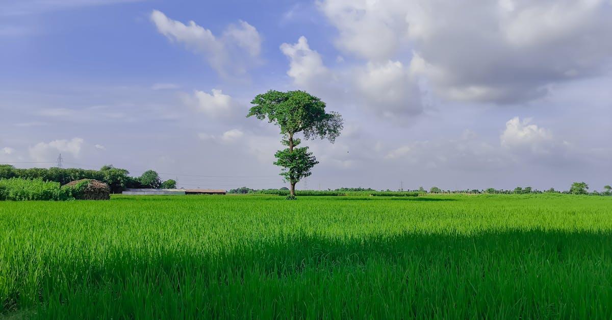 découvrez le confort et la commodité d'une maison de plain-pied. profitez d'un espace de vie pratique, sans escaliers, idéal pour toutes les générations. parfait pour une vie sereine et accessible !