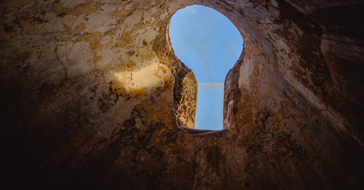 découvrez les méthodes avancées de détection des trous de serpent pour protéger votre jardin et vos espaces extérieurs. apprenez à identifier ces dangers furtifs et à prévenir leur impact sur votre propriété.