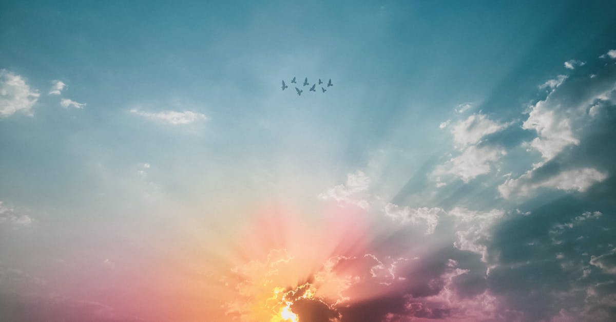 découvrez la beauté enchanteresse d'un lever de soleil dans notre article 'sunrise'. plongez dans la magie des couleurs du matin et laissez-vous inspirer par des paysages à couper le souffle qui illuminent le début d'une nouvelle journée.