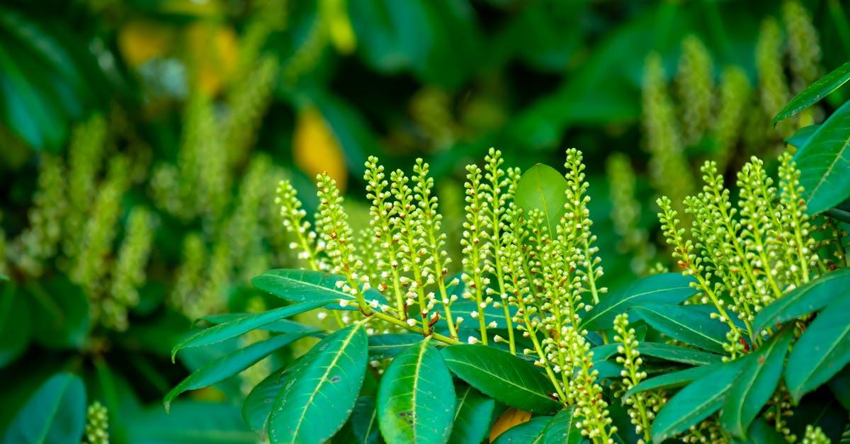 découvrez des astuces et conseils pour épaissir vos sauces, soupes et plats à travers des techniques simples et des ingrédients adaptés. apprenez à donner de la texture à vos créations culinaires facilement.