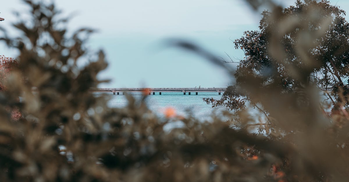 découvrez comment épaissir vos sauces, soupes et pâtisseries avec des astuces simples et des ingrédients naturels. transformez vos recettes avec nos conseils pratiques pour une texture parfaite !