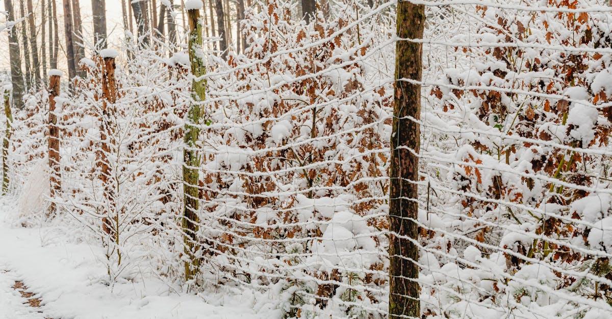 découvrez comment épaissir vos sauces, soupes et autres préparations culinaires avec des astuces simples et efficaces. apprenez les différentes techniques pour obtenir la consistance désirée et sublimer vos plats.