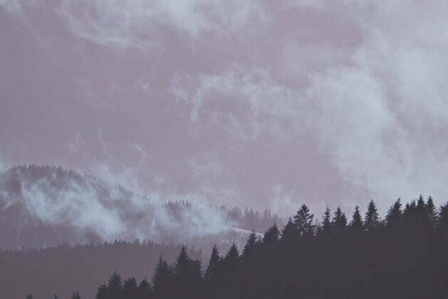 Comment épaissir une crème au chocolat trop liquide facilement ?