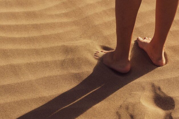 Quels sont les noms des cinq orteils ?