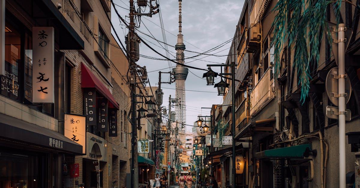 découvrez tokyo, la fascinante capitale du japon, où tradition et modernité se rencontrent. explorez ses temples historiques, ses quartiers animés et sa délicieuse cuisine locale. plongez dans l'effervescence de cette métropole dynamique et laissez-vous séduire par son ambiance unique.