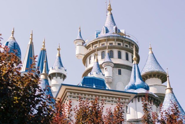 Quels sont les différents types de magie à découvrir ?