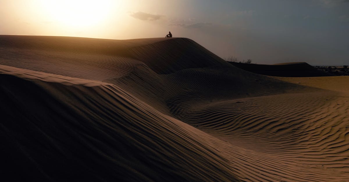 découvrez l'icône américaine, uncle sam, symbole de patriotisme et de recrutement militaire. explorez son histoire, son influence culturelle et son rôle emblématique dans la représentation des états-unis.