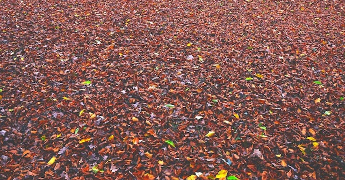 découvrez les causes, symptômes et traitements de la compression vertébrale. apprenez comment soulager la douleur et améliorer votre qualité de vie grâce à des solutions efficaces et des conseils d'experts.