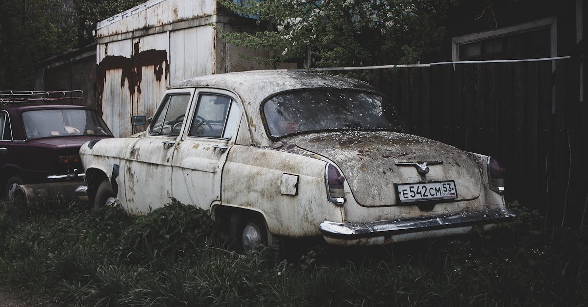 plongez au cœur de la beauté et de la culture de la volga, le plus long fleuve d'europe. découvrez ses rives pittoresques, ses traditions vibrantes et son importance historique dans la région.