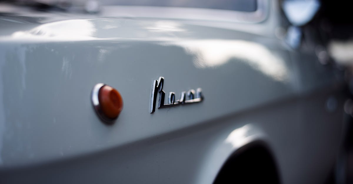 découvrez la beauté et la richesse de la volga, le plus long fleuve d'europe, qui serpente à travers des paysages pittoresques, des villes historiques et une culture fascinante. explorez ses rives, ses traditions et ses trésors cachés.