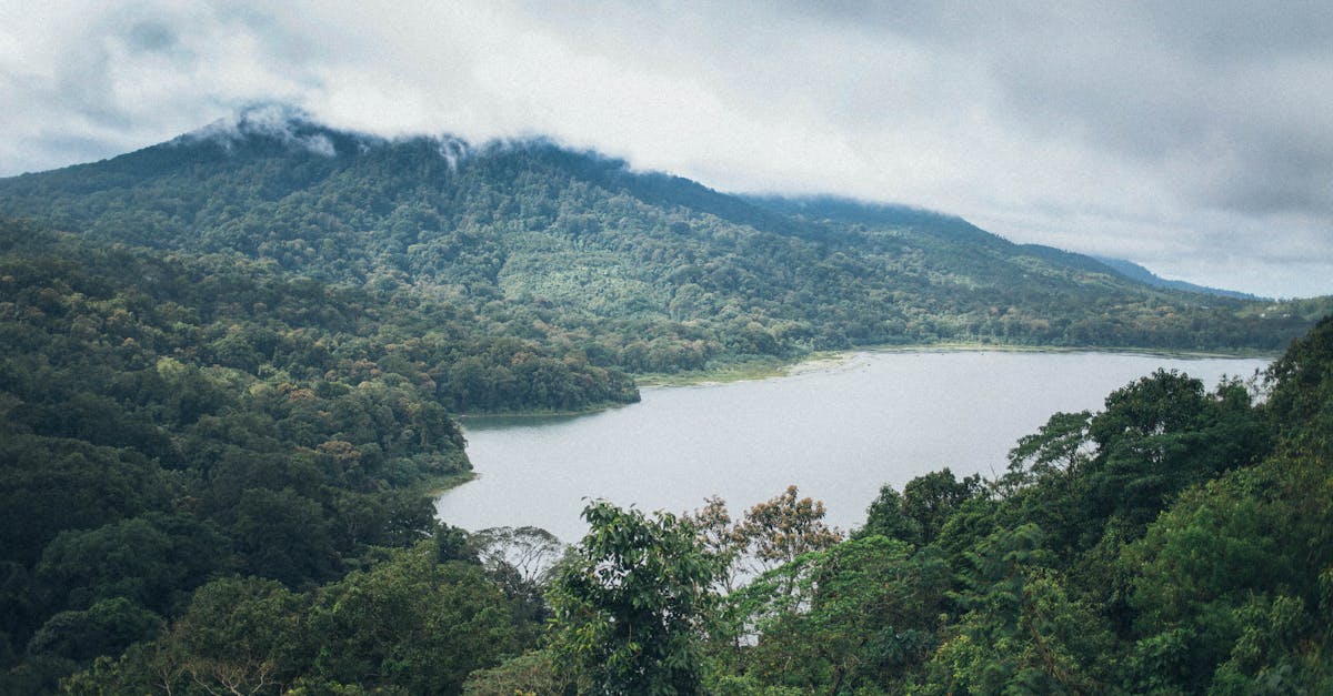 découvrez les merveilles du monde avec notre guide fascinant sur les wonders. explorez des sites emblématiques, des paysages à couper le souffle et des expériences uniques qui vous laisseront sans voix. plongez dans l'aventure et laissez-vous inspirer par la beauté incroyable qui nous entoure.