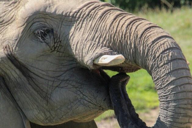 Quelle est la première religion pratiquée par l’humanité ?