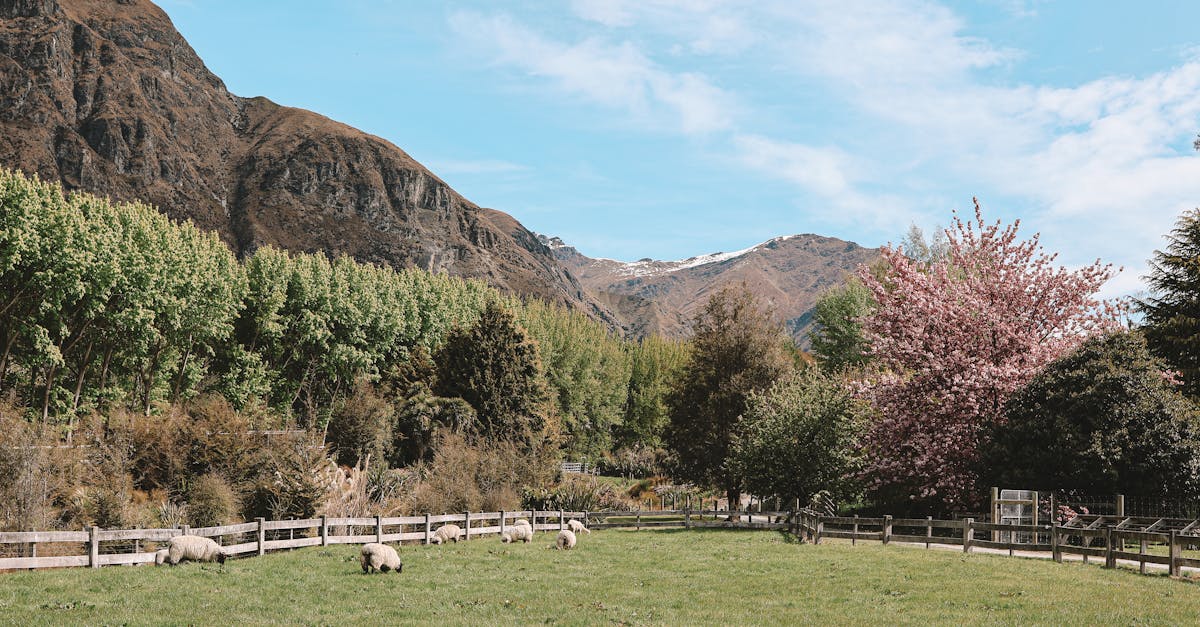 découvrez tout sur les lacs artificiels : définition, utilités, création, avantages écologiques et impact sur l'environnement, ainsi que des exemples remarquables à travers le monde.