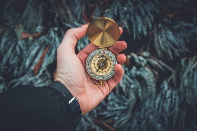 D’où vient la Rose des Vents et quelle est son histoire ?