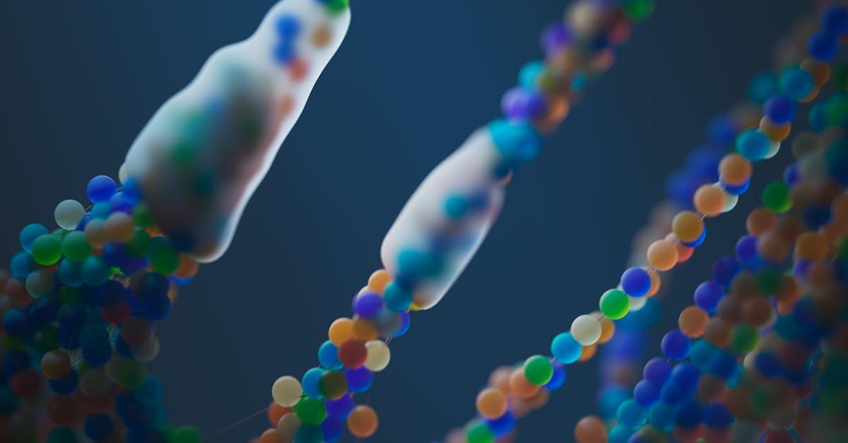 découvrez notre service de test adn pour déterminer votre ascendance, établir des liens de parenté ou explorer votre santé génétique. obtenez des résultats précis et fiables en quelques étapes simples, et plongez dans l'univers fascinant de votre héritage biologique.