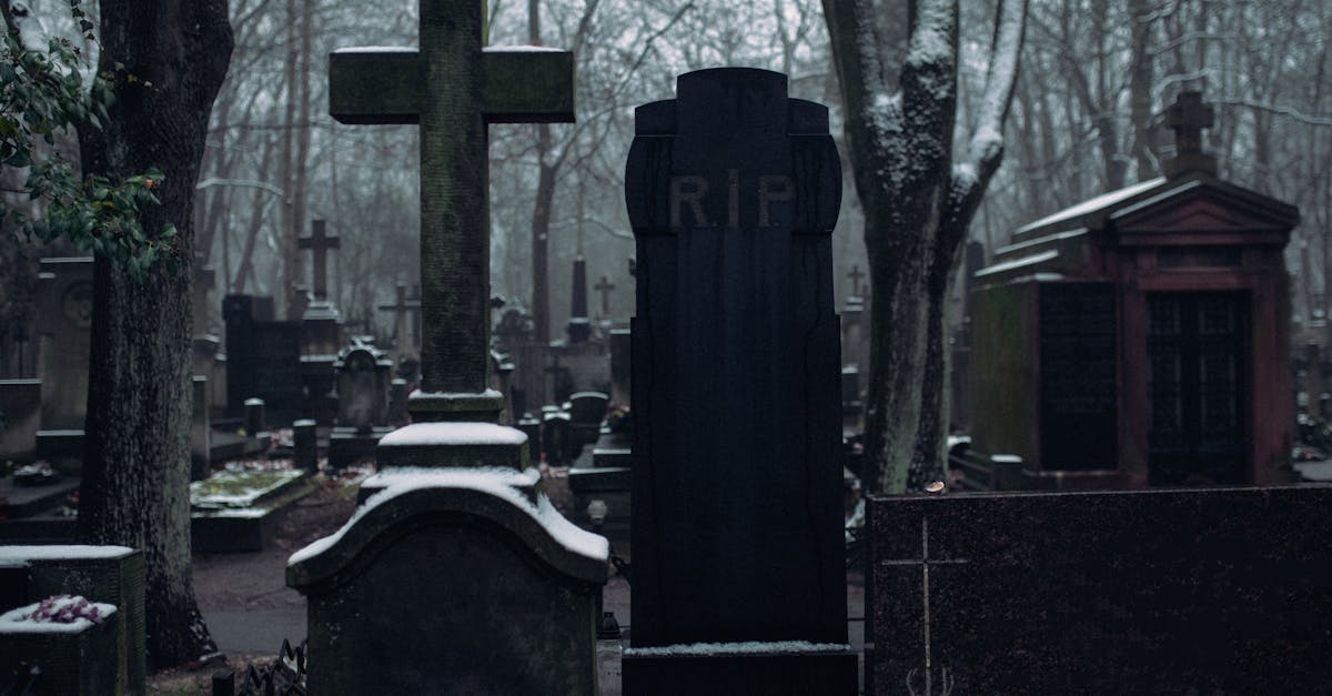 découvrez comment rendre hommage à vos proches disparus avec dignité et respect. nos services funéraires vous accompagnent dans ces moments difficiles en vous offrant soutien, compassion et solutions adaptées à vos besoins.