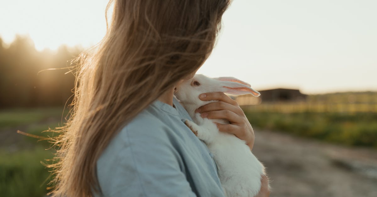 découvrez tout sur le lièvre : caractéristiques, habitat, alimentation et différences avec le lapin. informations essentielles pour mieux comprendre ce mammifère sauvage.